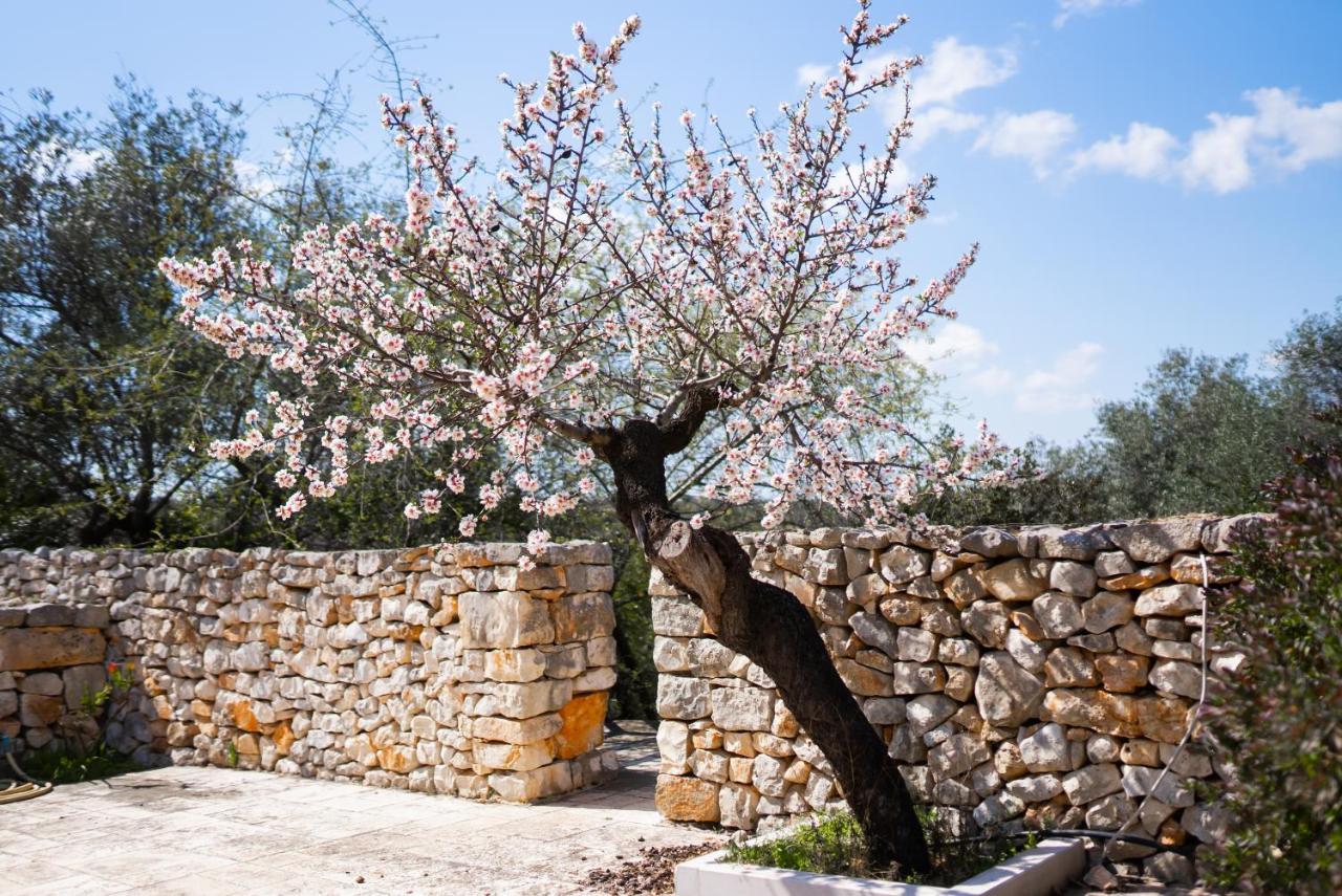 Masseria Montepaolo Dimora Di Charme コンヴェルサーノ エクステリア 写真