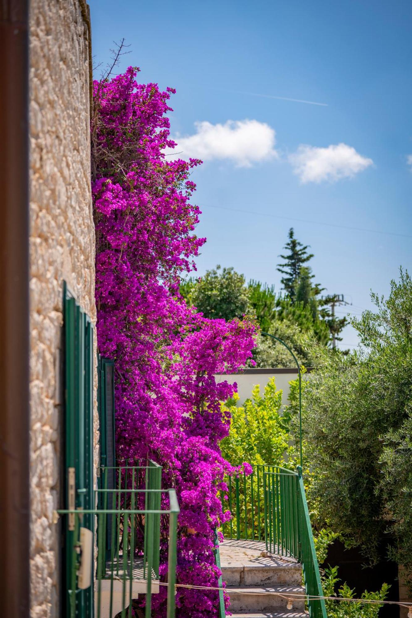 Masseria Montepaolo Dimora Di Charme コンヴェルサーノ エクステリア 写真